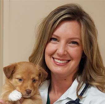 Dr. Stacey Hutchison, Somerset Veterinarian & Medical Director